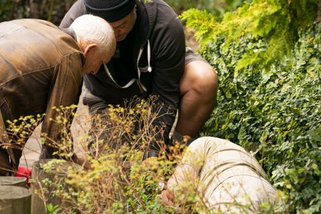 Outdoor First Aid Courses | First Training